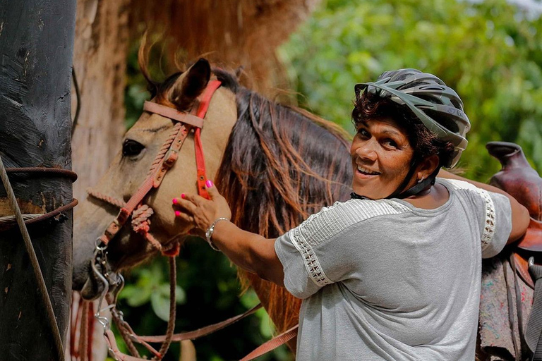 Privado: Passeio a cavalo e almoço no Bávaro Adventure ParkPrivado: passeio a cavalo e almoço no Bávaro Adventure Park