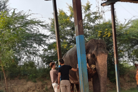 Jaipur: Full-Day Pink City Tour with Masala Tea Tour by Car and Driver with a Guide