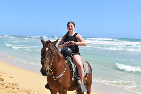 Punta Cana: Relaxed Beginner Horseback Ride on Uvero Beach. Afternoon 2 Hour - Horseback Riding