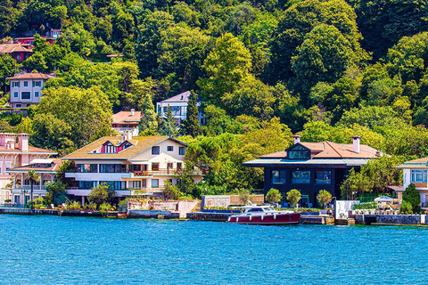 Entradas para Santa Sofía, la Cisterna Basílica y un crucero por el Bósforo