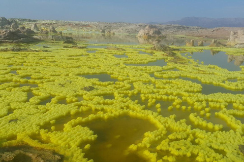 Ethiopia: 23-Day Grand Tour with Trekking & Camping