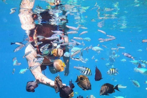 Zanzibar: prywatne nurkowanie w Błękitnej Lagunie i pływanie z rozgwiazdamiTransport do hotelu w dowolnym miejscu na Zanzibarze