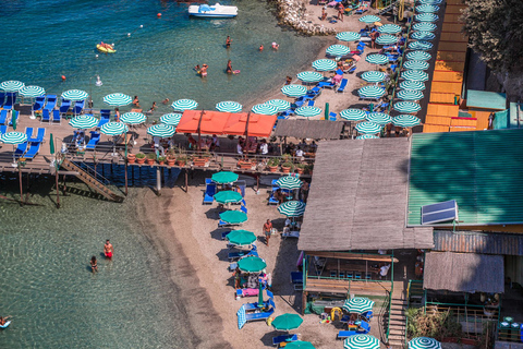 From Naples: Pompeii and Sorrento Guided Tour Tour in English