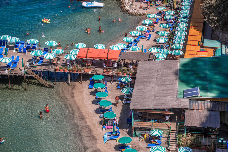 From Naples: Pompeii and Sorrento Guided Tour Tour in English