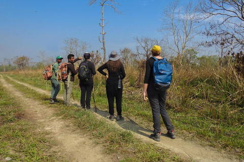 Katmandú: Excursión de 3 días a Chitwan Safari con traslado al hotel