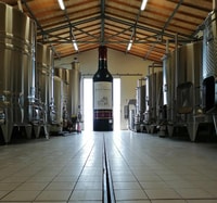Saint-Émilion, Visit of a family vineyard & tasting - Housity