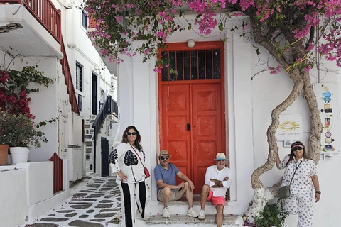 Cruzeiro guiado em Mykonos com um jipe exclusivo para passageiros: Visita obrigatória em 4h