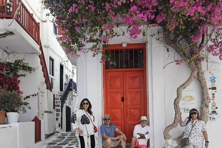 Cruzeiro guiado em Mykonos com um jipe exclusivo para passageiros: Visita obrigatória em 4h