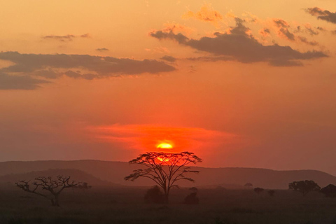 Safari épico: Serengeti, Mikumi, Ngorongoro y Selous