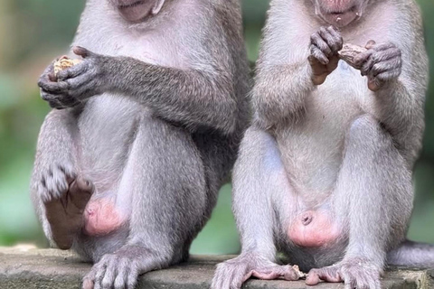 Monkey River, Ubud Market, Waterfall and Art Village Ubud Tour include Ticket