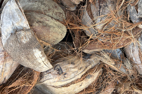 Puerto Rico: Afro Caribbean Experience Tour