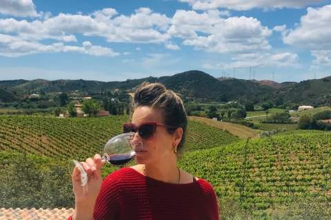 D'Albufeira: visite de dégustation de vin et visite de Silves