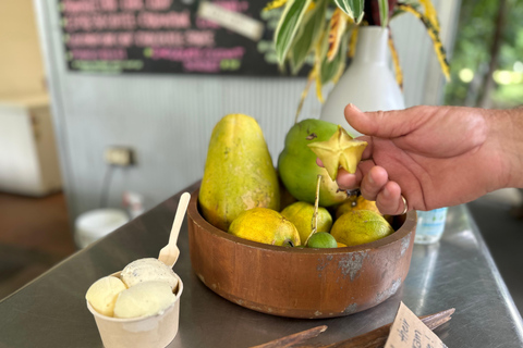 Cairns/Port Douglas: Overnight Rainforest to Reef Experience Daintree Overnight Rainforest & Reef - Private Double/Twin