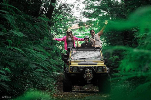 Bali: Mount Batur Sunrise Jeep, Pine Forest And hot springs Hot Spring Ticket (without transportation)