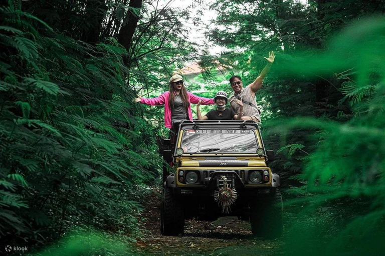 Bali: Mount Batur Sunrise Jeep, Pine Forest And hot springs Hot Spring Ticket (without transportation)