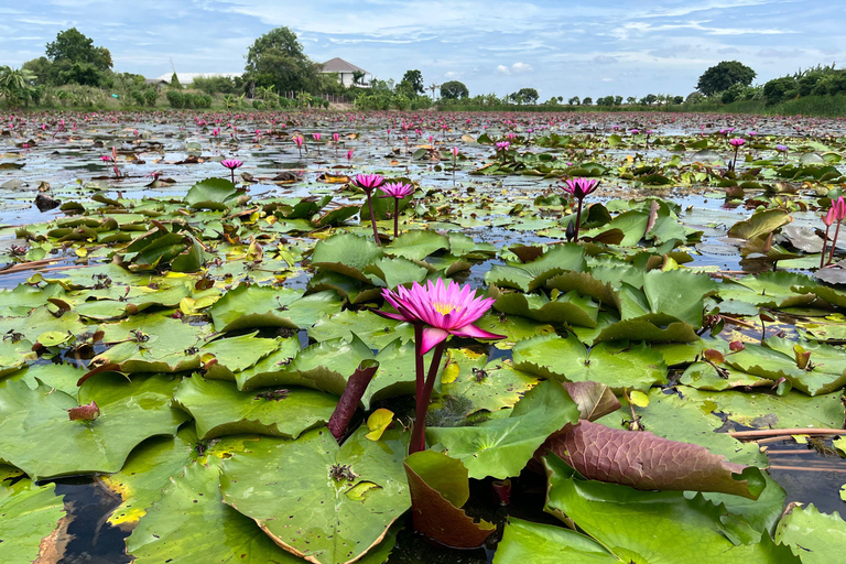 Bangkok: Red Lotus Market & Ancient Ayutthaya Day Tour