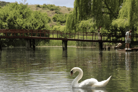 Kastoria: Private Lakes Tour to Pogradec, Ohrid & Bitola