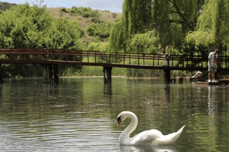 Kastoria: Private Lakes Tour to Pogradec, Ohrid & Bitola