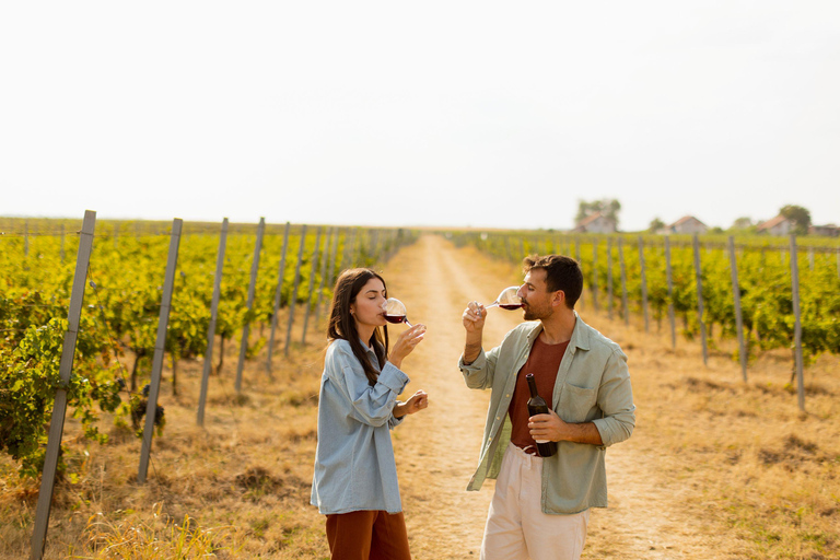 Au départ de Cadix : visite des vignobles de Chiclana de la Frontera avec déjeunerVisite guidée des caves de Chiclana de la Frontera avec déjeuner - 2 personnes
