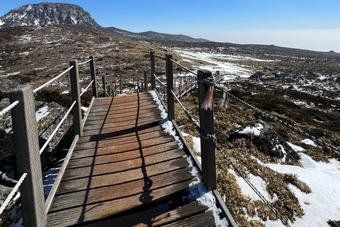 Randonnée au Hallasan sur l'île de Jeju, la plus haute montagne de Corée du SudJeju Hallasan ; randonnée pédestre des fleurs de neige avec déjeuner