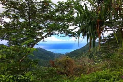 Demi-journée privée à Moorea : randonnée 3 Cocotiers avec déjeuner inclus