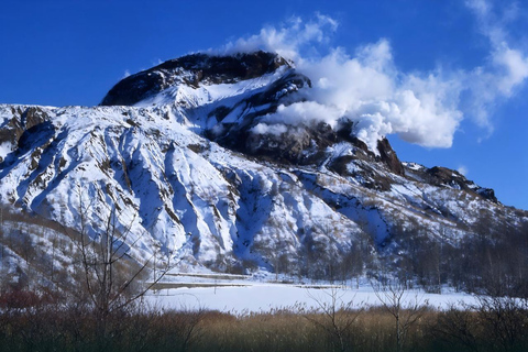 Hokkaido, Sappro, Noboribetsu och Lake Toya | Endagstur