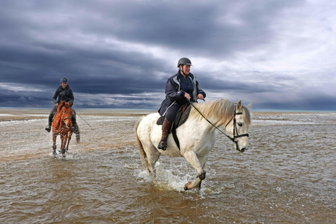 Aruba: Private Sunset Horseback Ride to Hidden Lagoons