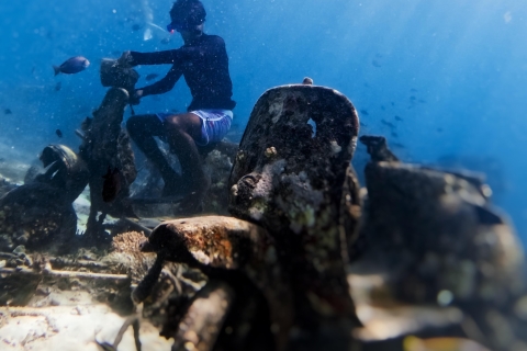 Plongée en apnée avec la tortue et la statue sous-marine à Gilis