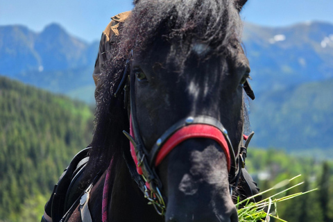 Zakopane: Tatra Mountains Horseback Ride & Thermal Baths