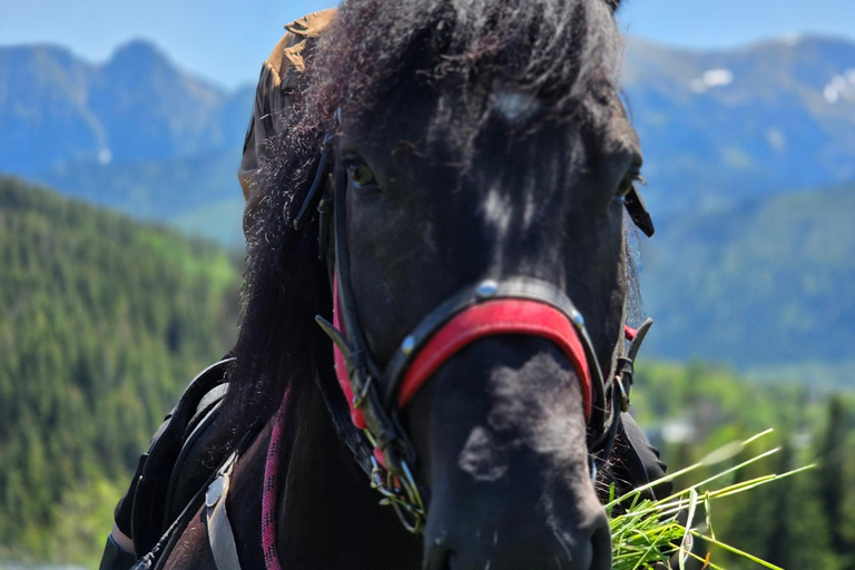 Zakopane: Tatra Mountains Horseback Ride & Thermal Baths