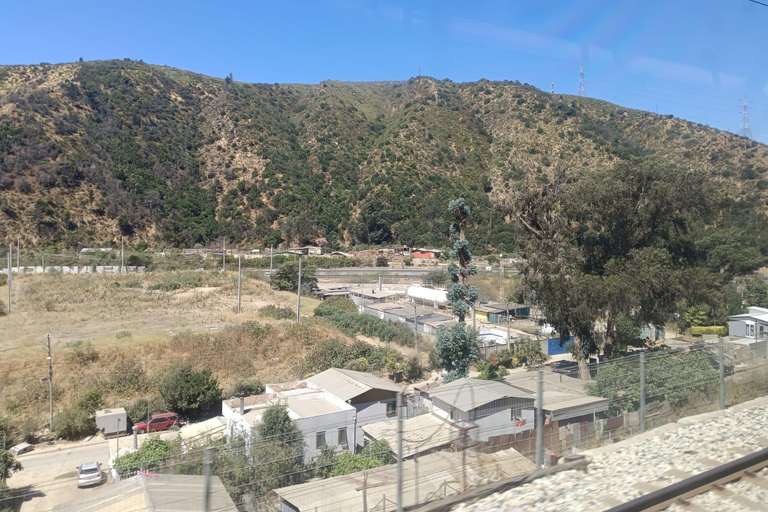 Valparaíso: Scenic Train Journey from Coast to Valley