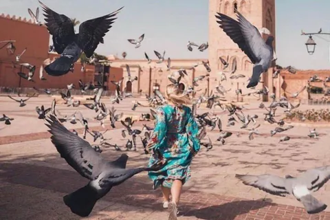 Dagtrip Marrakech met kamelenrit vanuit Casablanca