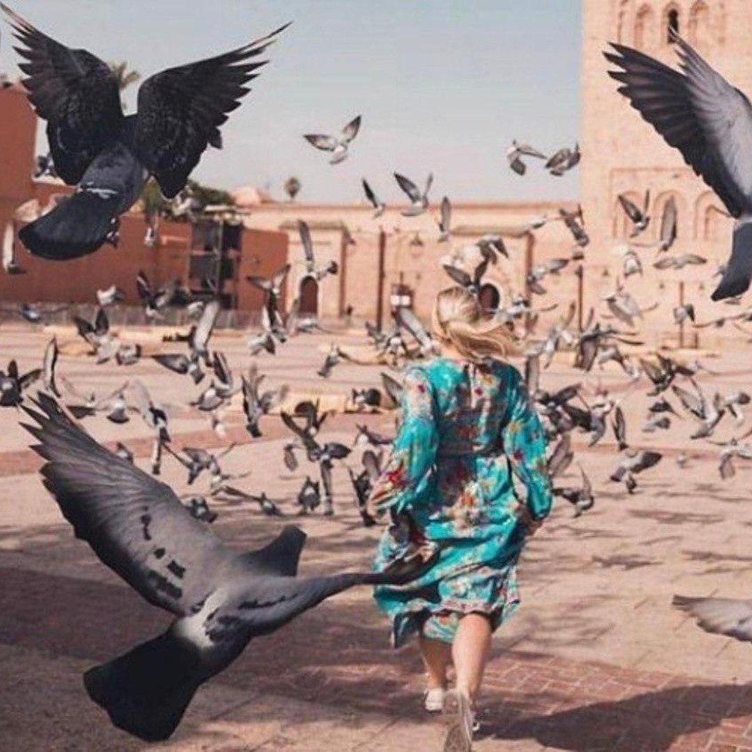 Excursion à Marrakech avec balade à dos de chameau au départ de Casablanca