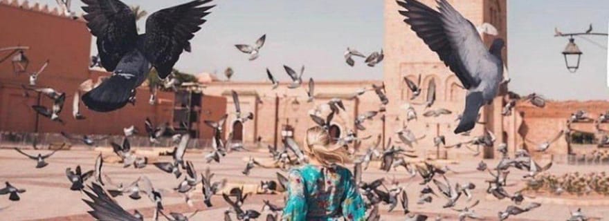 Excursion à Marrakech avec balade à dos de chameau au départ de Casablanca