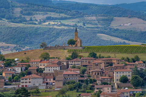 Lyon: Beaujolais Wine Tour with Tastings and Castle Visits