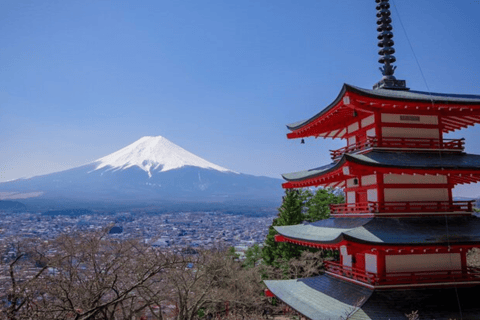 Desde Tokio : Tour Privado de un Día del Monte Fuji con Conductor Inglés