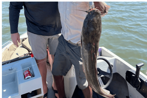 Cataratas Victoria: safari de pesca del tigre en el río Chobe con almuerzoCataratas Victoria: safari de pesca del tigre en el río Chobe con almuerzo incluido