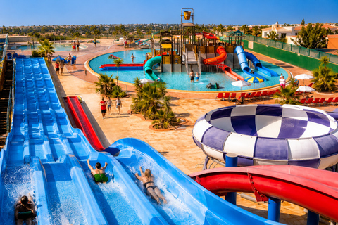 Ibiza Family Day: Treetop Adventure, Aquarium & Water Park