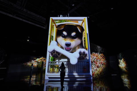 Paju: Museum HEI Immersive Media Art Exhibition Entry Ticket
