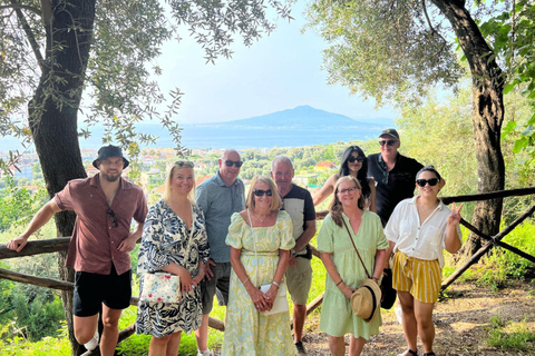 Lemon Grove Walk, Tastings, Aperitivo & Open Bar in Sorrento Lemon Tasting in Sorrento - Italian