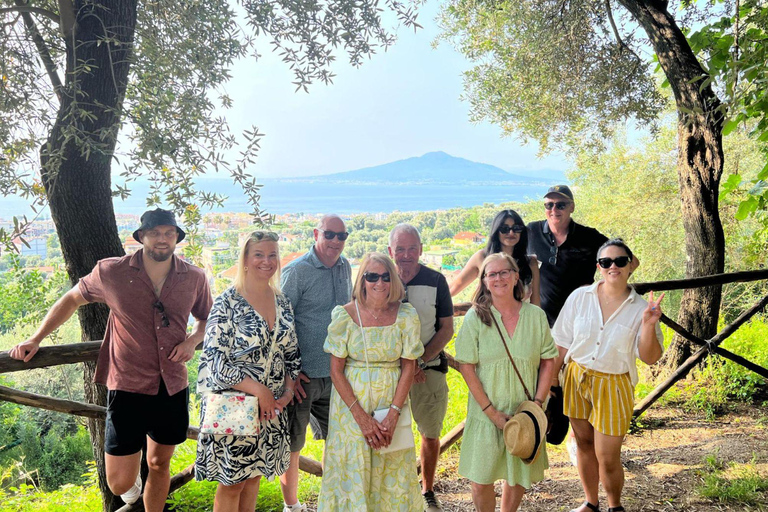 Lemon Grove Walk, Tastings, Aperitivo & Open Bar in Sorrento Lemon Tasting in Sorrento - Italian