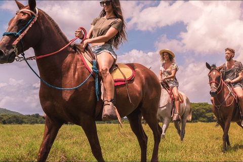 Punta Cana: viagem de 1 dia a Samaná com a Cachoeira El LimónPunta Cana: Viagem de 1 dia a Samaná com a Cachoeira El Limón