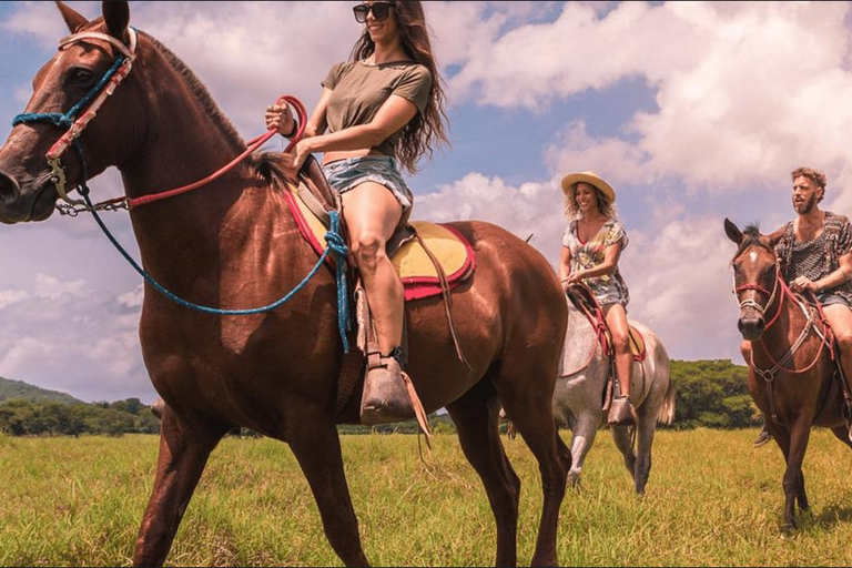 Punta Cana: viagem de 1 dia a Samaná com a Cachoeira El LimónPunta Cana: Viagem de 1 dia a Samaná com a Cachoeira El Limón