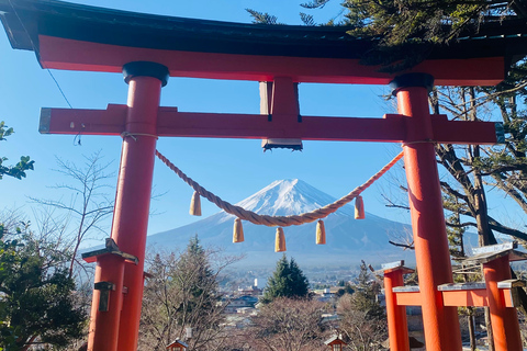 From Tokyo: Mount Fuji Private Tour With English Guide Route 2 Mount Fuji & Hakone: Full day customized Tour