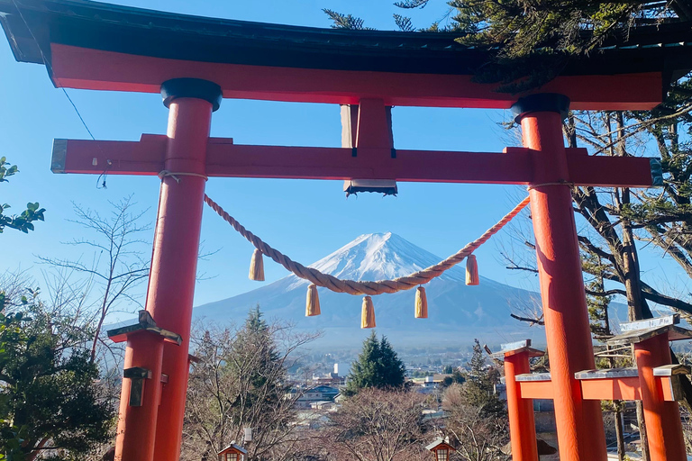 From Tokyo: Mount Fuji Private Tour With English Guide Route 2 Mount Fuji & Hakone: Full day customized Tour