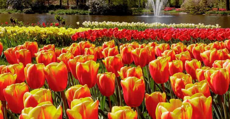 Amsterdam: Keukenhof Entry & Shuttlebus with Flexible Return photo 8