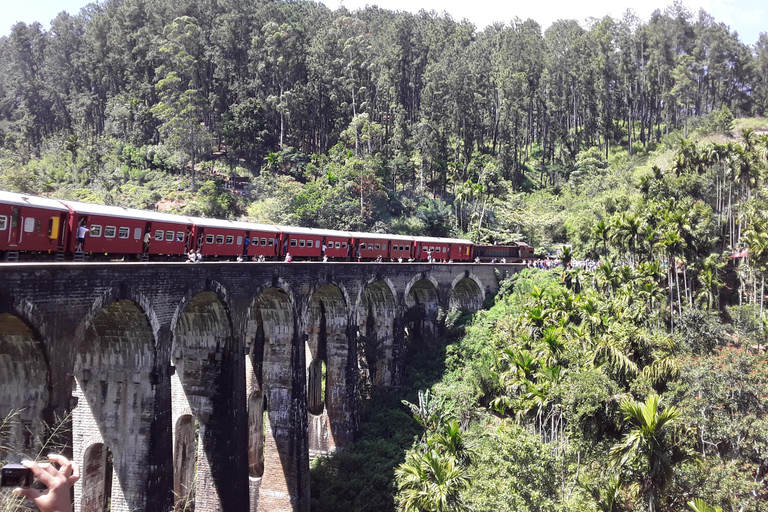 From Colombo: 10-Day Private Sri Lanka Tour with Transfers