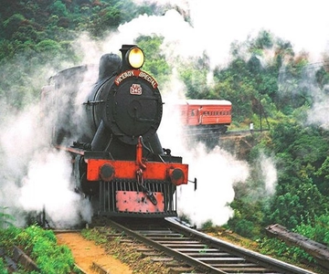 From Ella: First-Class Reserved Train Ticket to Kandy