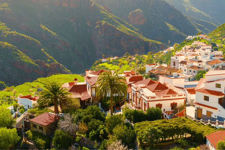 Grande Canarie : vidéo VIP PRIVÉE en drone 4K du nord de l'îleGrande Canarie : visite vidéo VIP privée en drone 4K