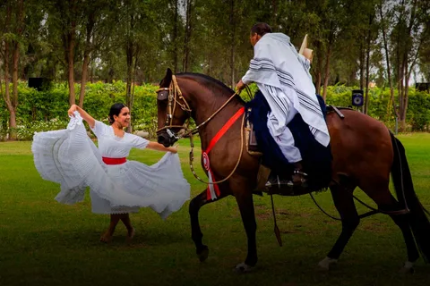 Lima: Almoço buffet, espetáculo de dança | Cavalos de Paso Peruanos
